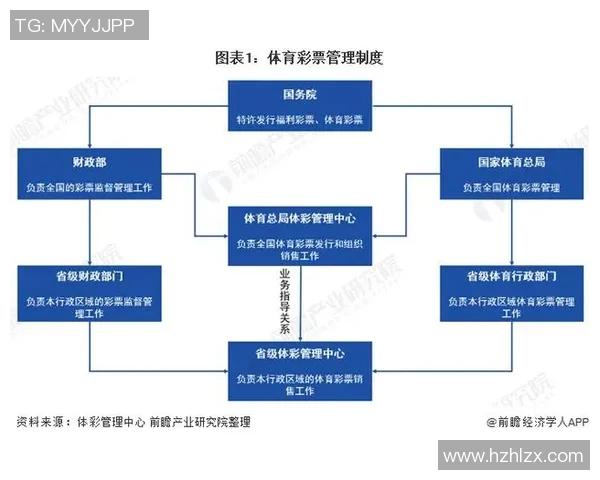 体育行业发展现状与未来趋势的全面分析与探讨