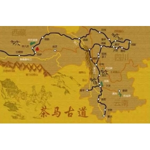 茶马古道：普洱茶文化之魂